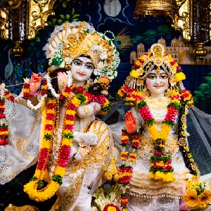 All Arati Seva of the Day